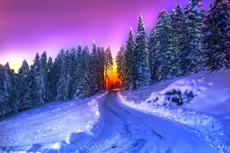 Snow-covered Road in Forest — Purple, Dramatic