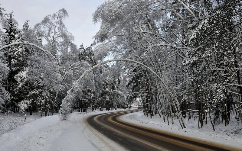 Snow-covered Road in Forest — Serene, Gray