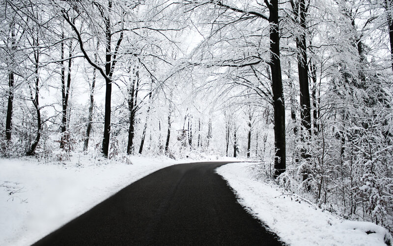 Snow-covered Road in Forest — Serene, Snow