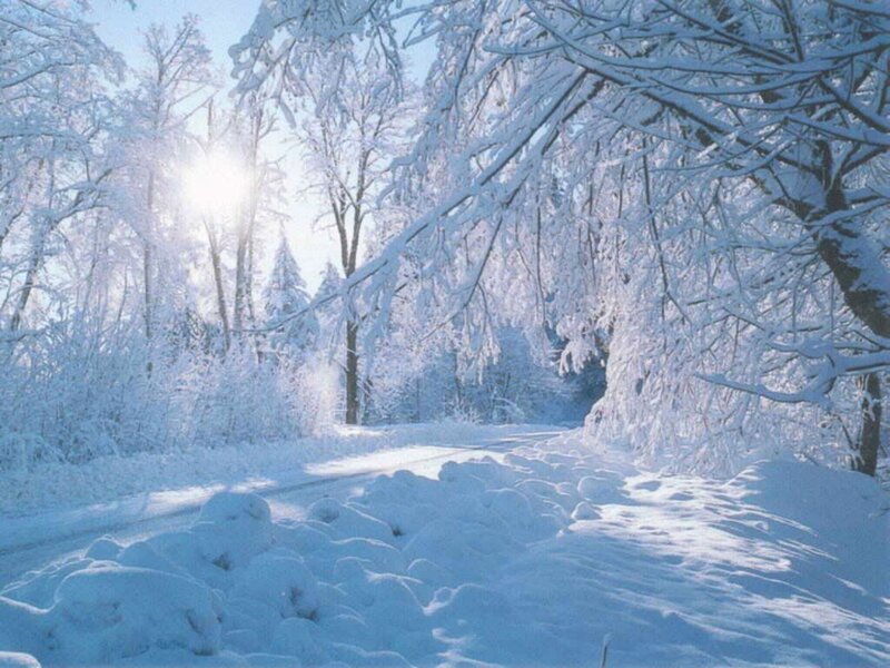 Snow-covered Road in Forest