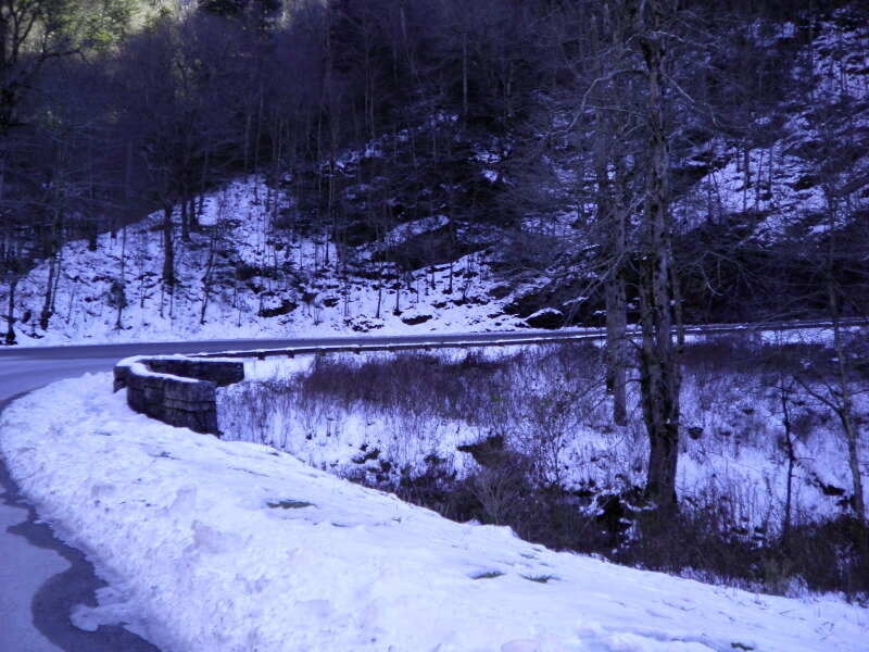 Snow-covered Road in Forest — White, Cold