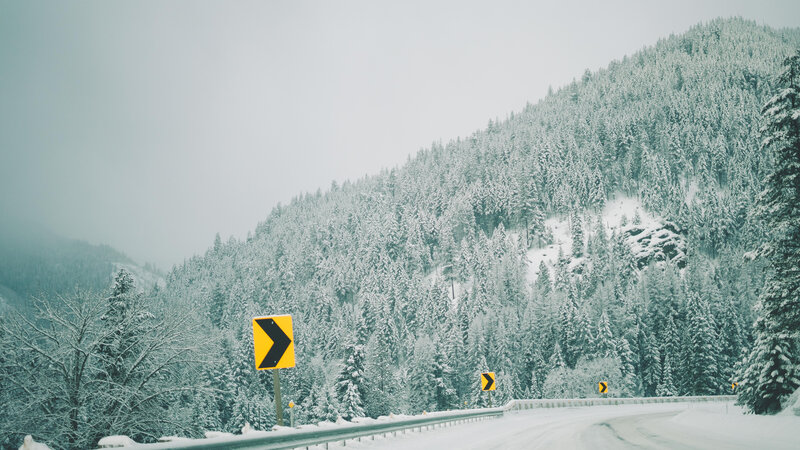 Snow-covered Road in Forest — White, Cold, Winter, Photograph