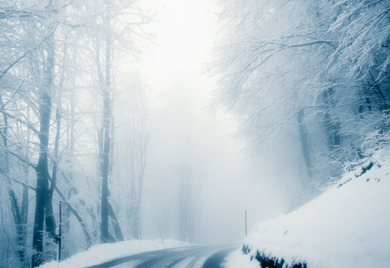 Snow-covered Road in Forest — White, Cold, Winter, Photograph, Trees, Fog