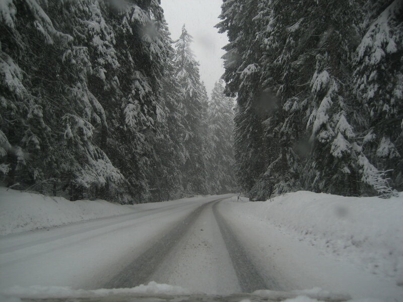 Snow-covered Road in Forest — White, Cold, Winter, Photograph, Trees, Snow, Green