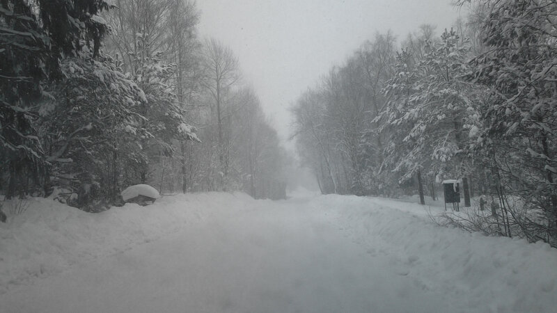 Snow-covered Road in Forest — White, Cold, Winter, Photograph, Trees, Snow, Sign