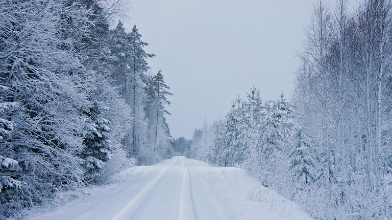 Snow-covered Road in Forest — White, Cold, Winter, Photograph, Trees