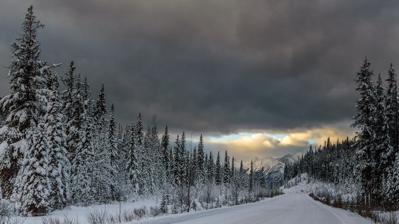 Snow-covered Road in Forest — White, Dramatic, Winter, Photograph