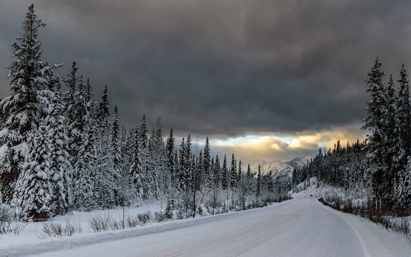 Snow-covered Road in Forest — White, Dramatic, Winter, Photograph, Trees