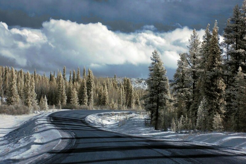 Snow-covered Road in Forest — White, Dramatic, Winter