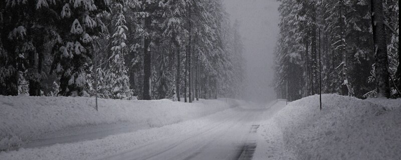 Snow-covered Road in Forest — White, Dreary, Winter