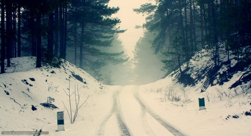 Snow-covered Road in Forest — White, Misty