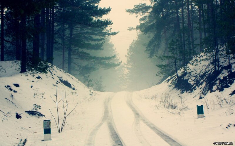 Snow-covered Road in Forest — White, Misty, Winter, Photograph, Trees, Tire Tracks