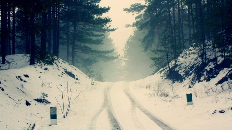 Snow-covered Road in Forest — White, Misty, Winter