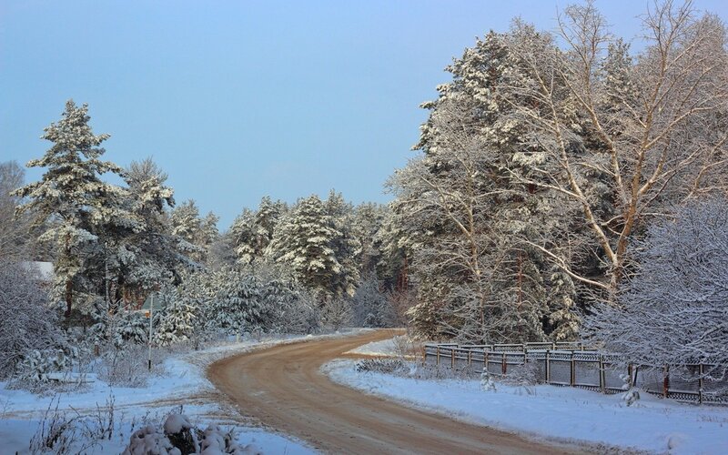 Snow-covered Road in Forest — White, Serene, Winter, Photograph, Trees, Fence, Sky, Brown