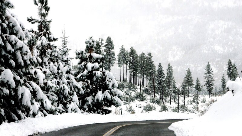 Snow-covered Road in Forest — White, Serene, Winter, Photograph, Trees, Mountain