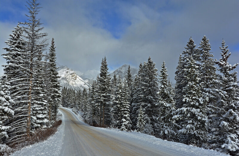 Snow-covered Road in Forest — White, Serene, Winter, Photograph, Trees, Mountains, Sky