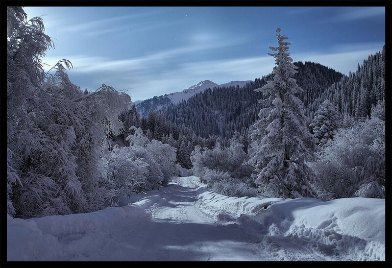 Snow-covered Road in Forest — White, Serene, Winter, Photograph, Trees, Mountains