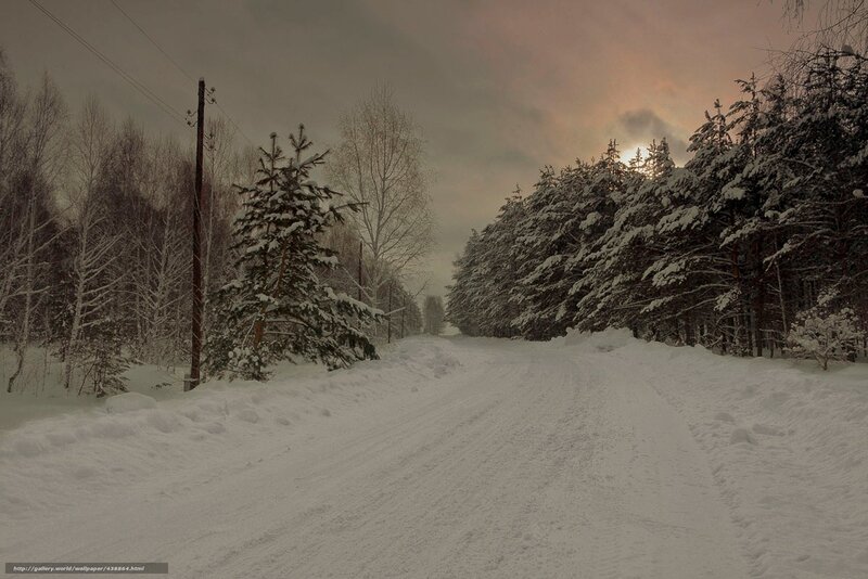 Snow-covered Road in Forest — White, Serene, Winter, Photograph, Trees, Power Line