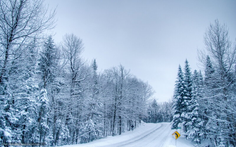 Snow-covered Road in Forest — White, Serene, Winter, Photograph, Trees, Sign