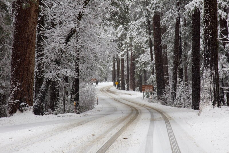 Snow-covered Road in Forest — White, Serene, Winter, Photograph, Trees, Signs