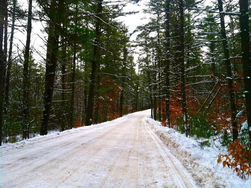 Snow-covered Road in Forest — White, Serene, Winter, Photograph, Trees, Snow, Fallen Leaves