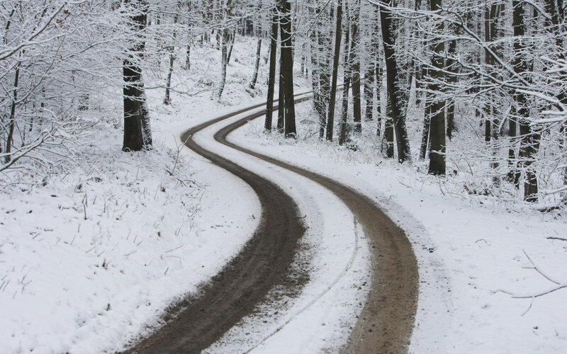 Snow-covered Road in Forest — White, Serene, Winter, Photograph, Trees, Snow, Path, Brown