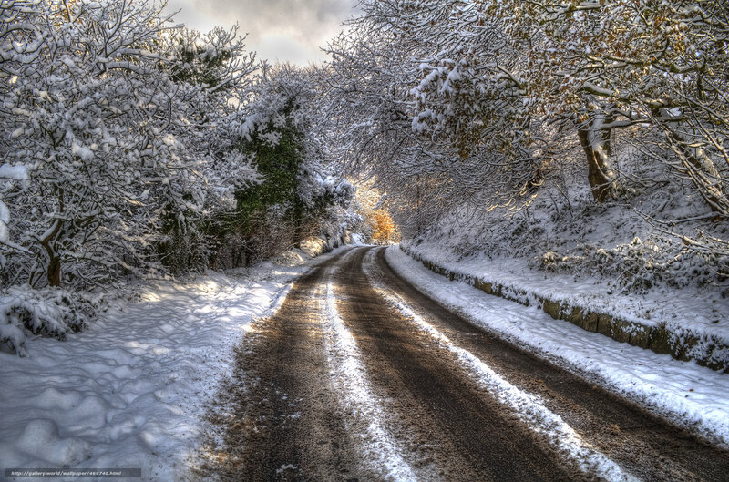 Snow-covered Road in Forest — White, Serene, Winter, Photograph, Trees, Snow, Stone Wall