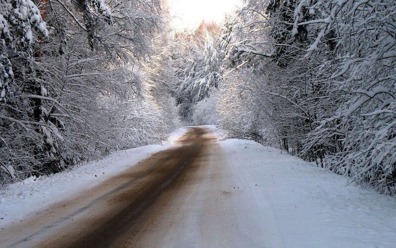 Snow-covered Road in Forest — White, Serene, Winter, Photograph, Trees, Snow