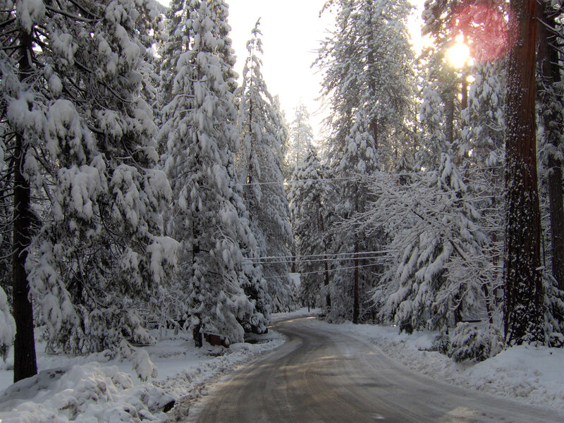 Snow-covered Road in Forest — White, Serene, Winter, Photograph, Trees, Sunlight, Power Lines