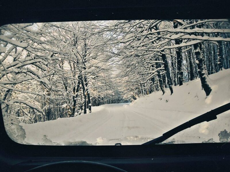 Snow-covered Road in Forest — White, Serene, Winter, Photograph, Trees, Windshield