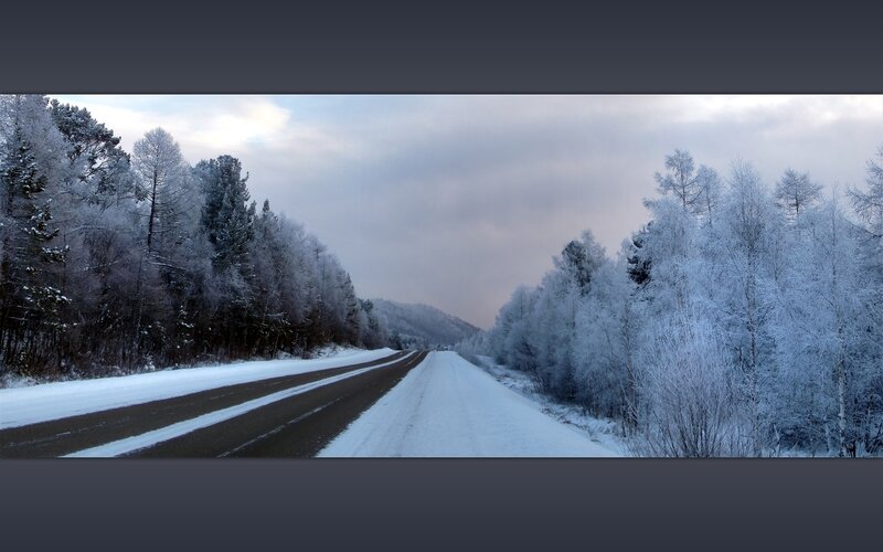 Snow-covered Road in Forest — White, Serene, Winter
