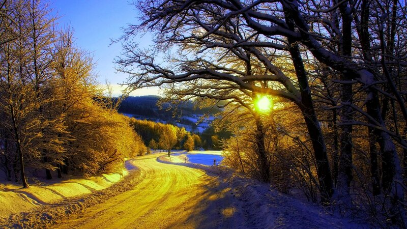 Snow-covered Road in Forest — Yellow, Serene