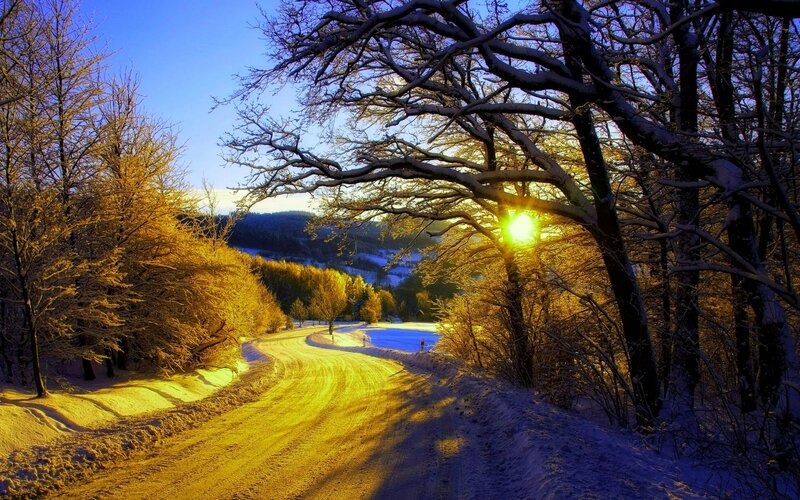 Snow-covered Road in Forest — Yellow