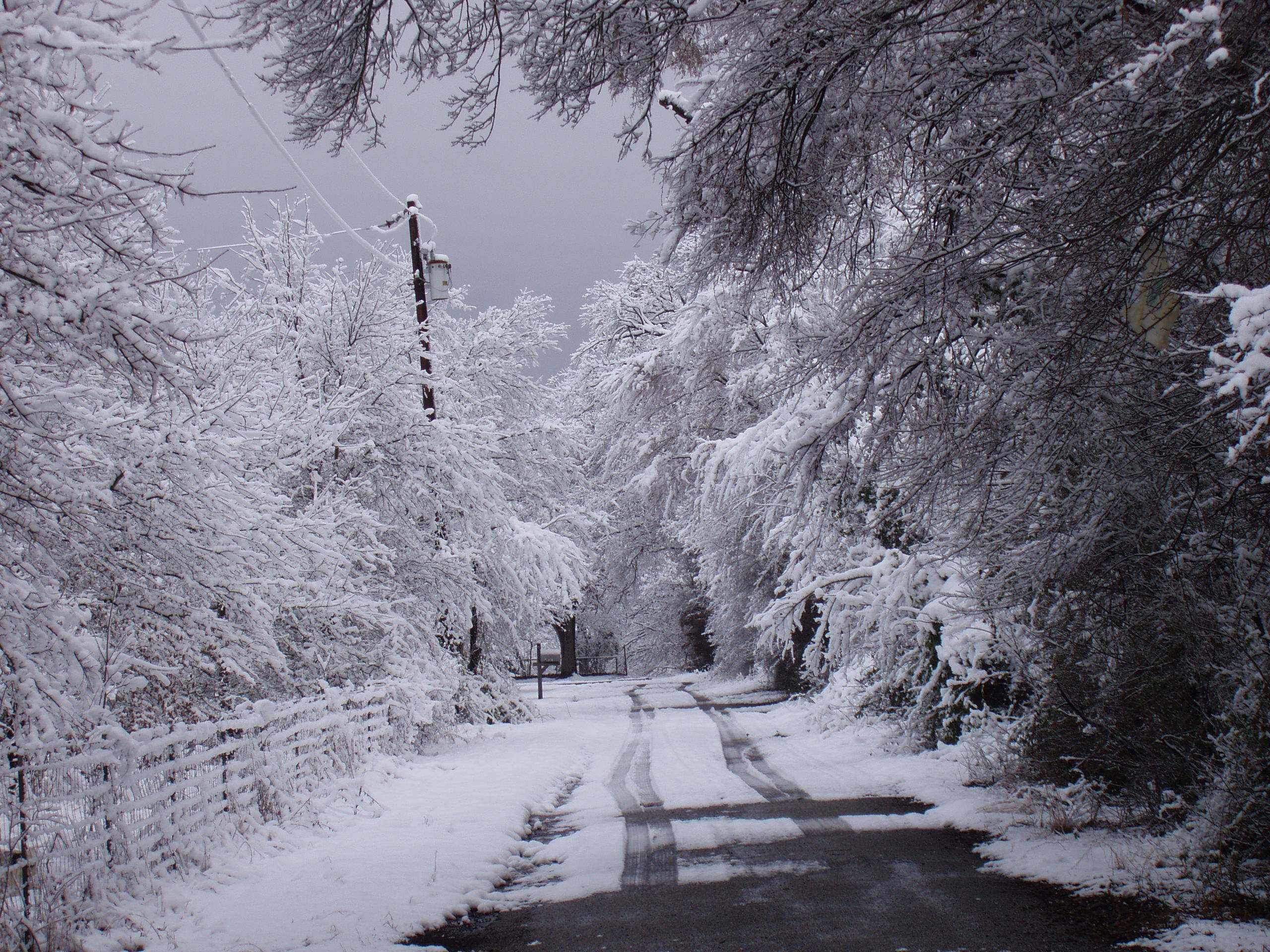 Snow-covered road in winter