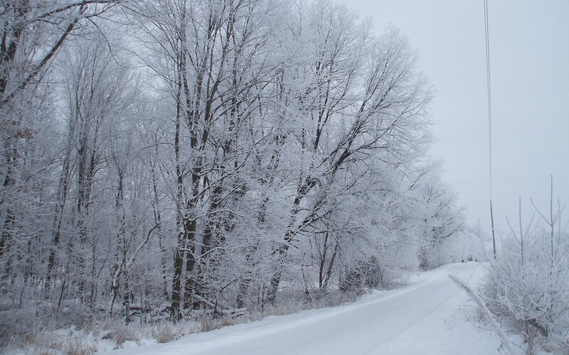 snow-covered road in winter