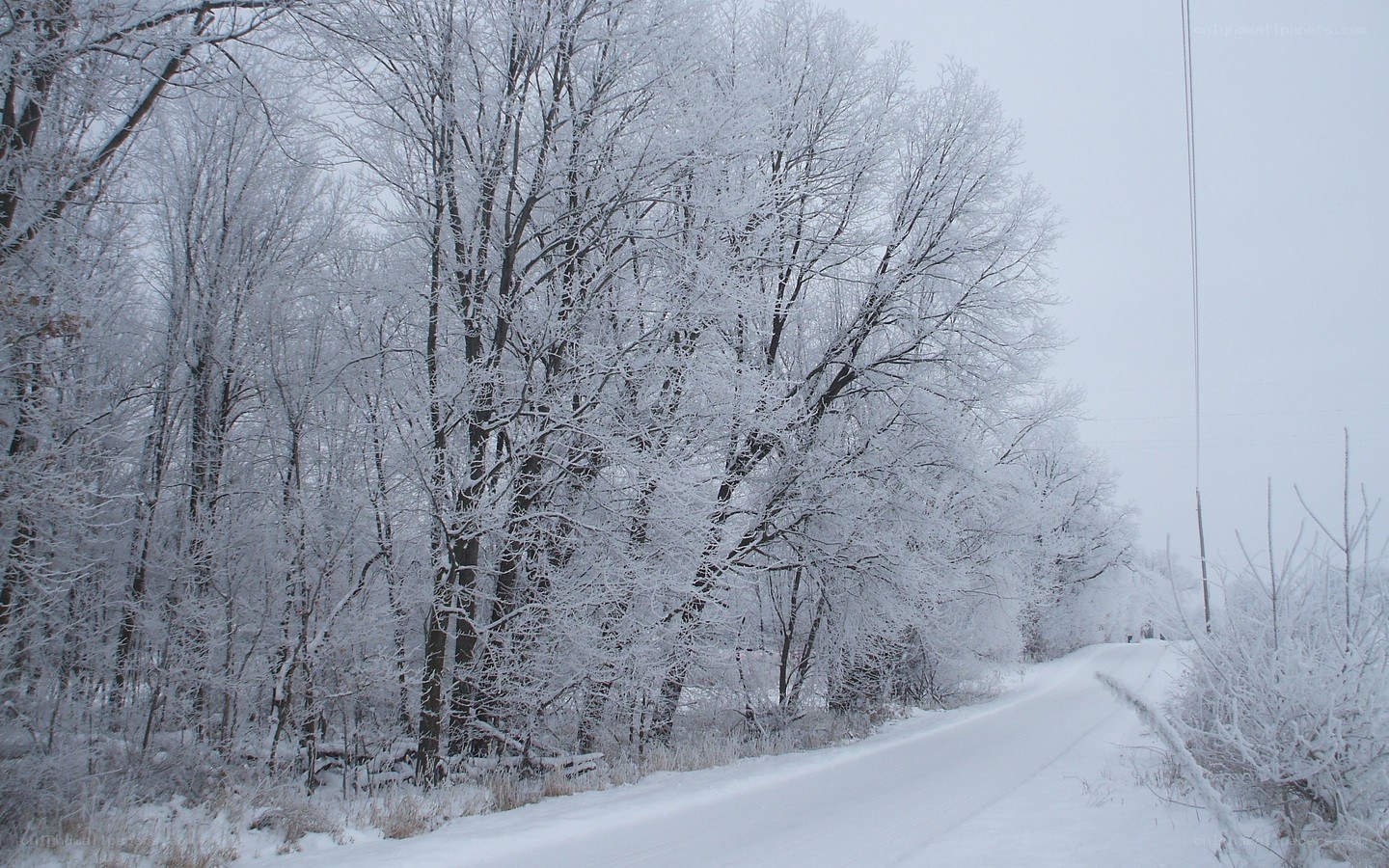 snow-covered road in winter