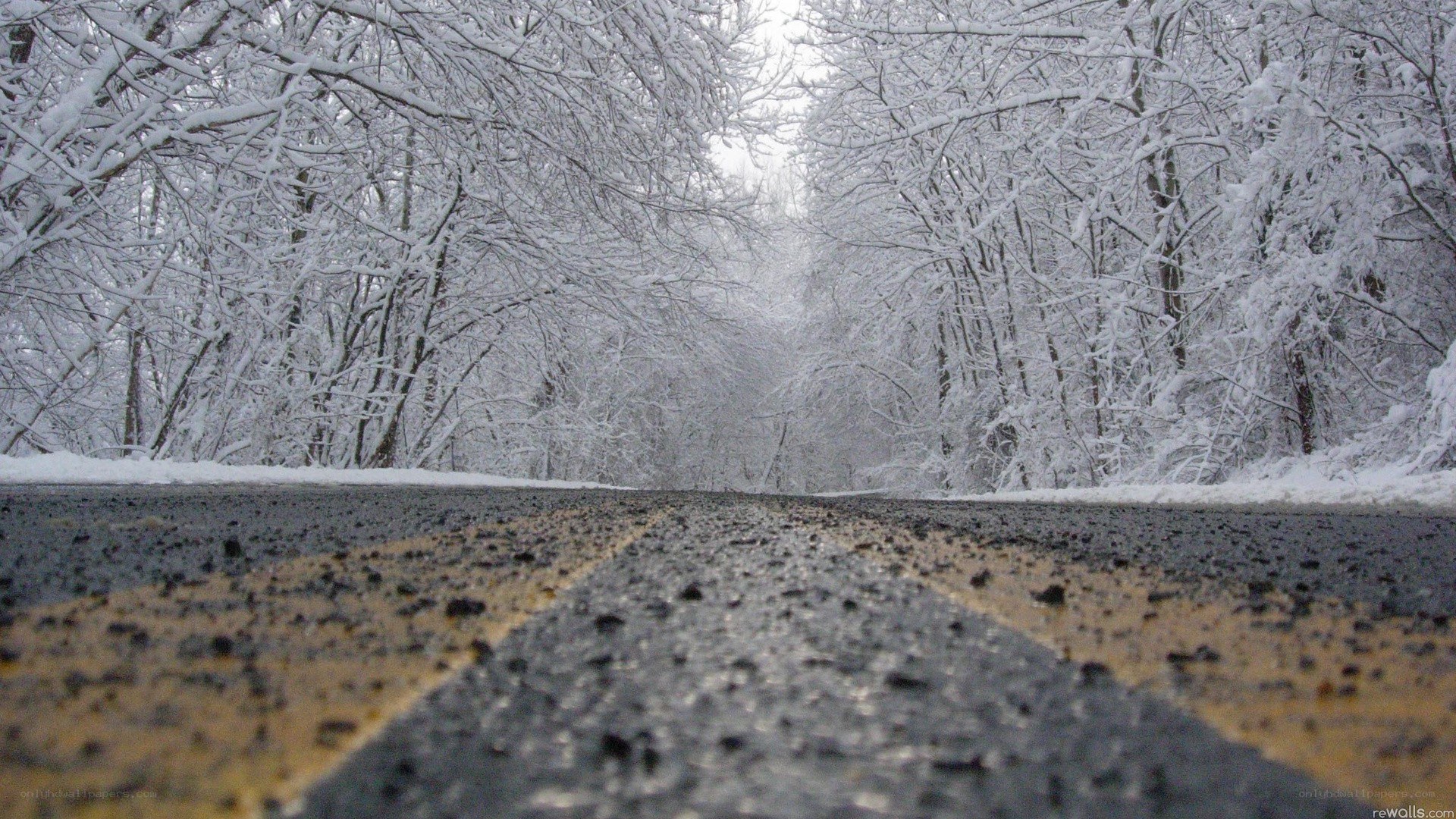 snow-covered road in winter