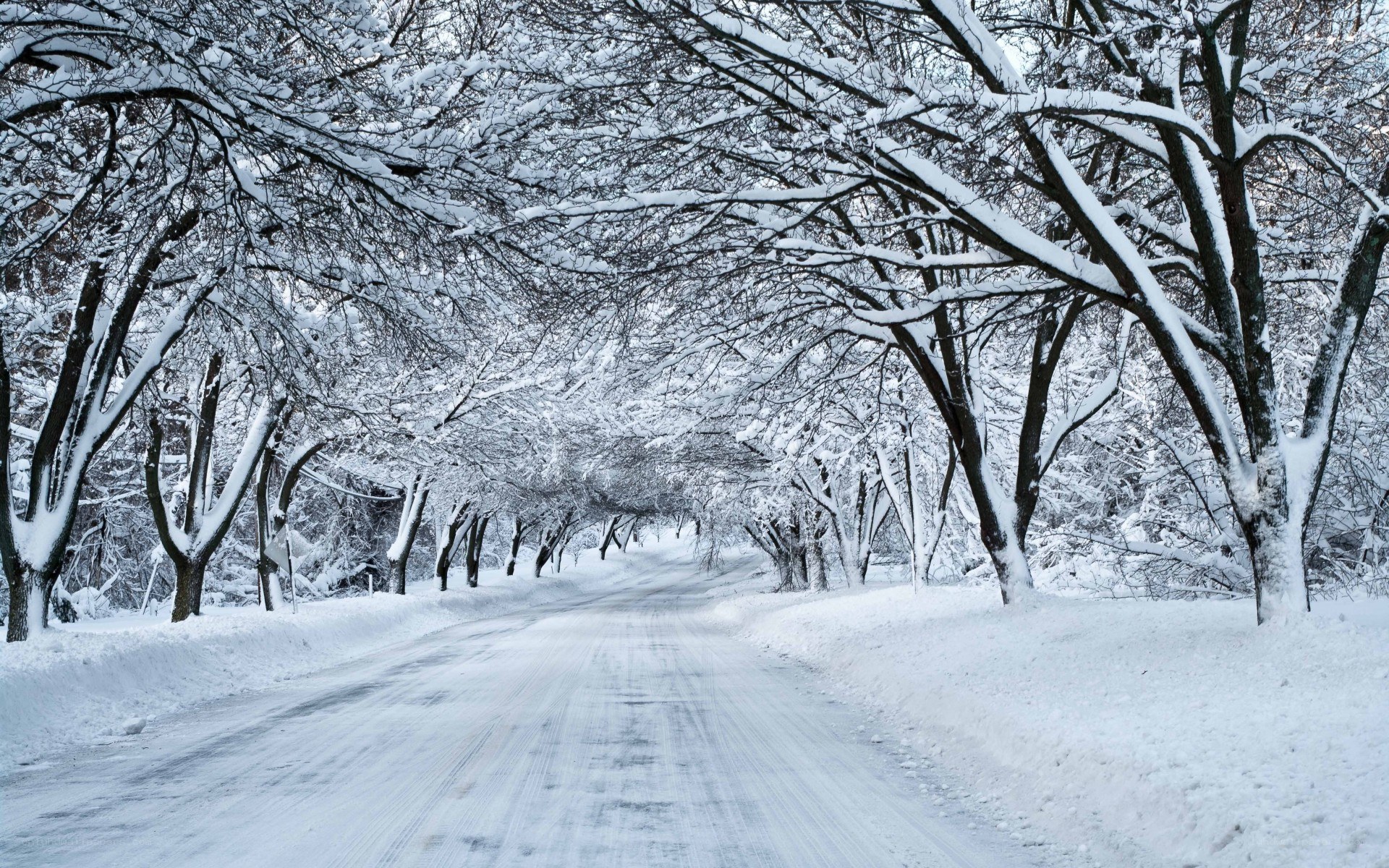 snow-covered road in winter