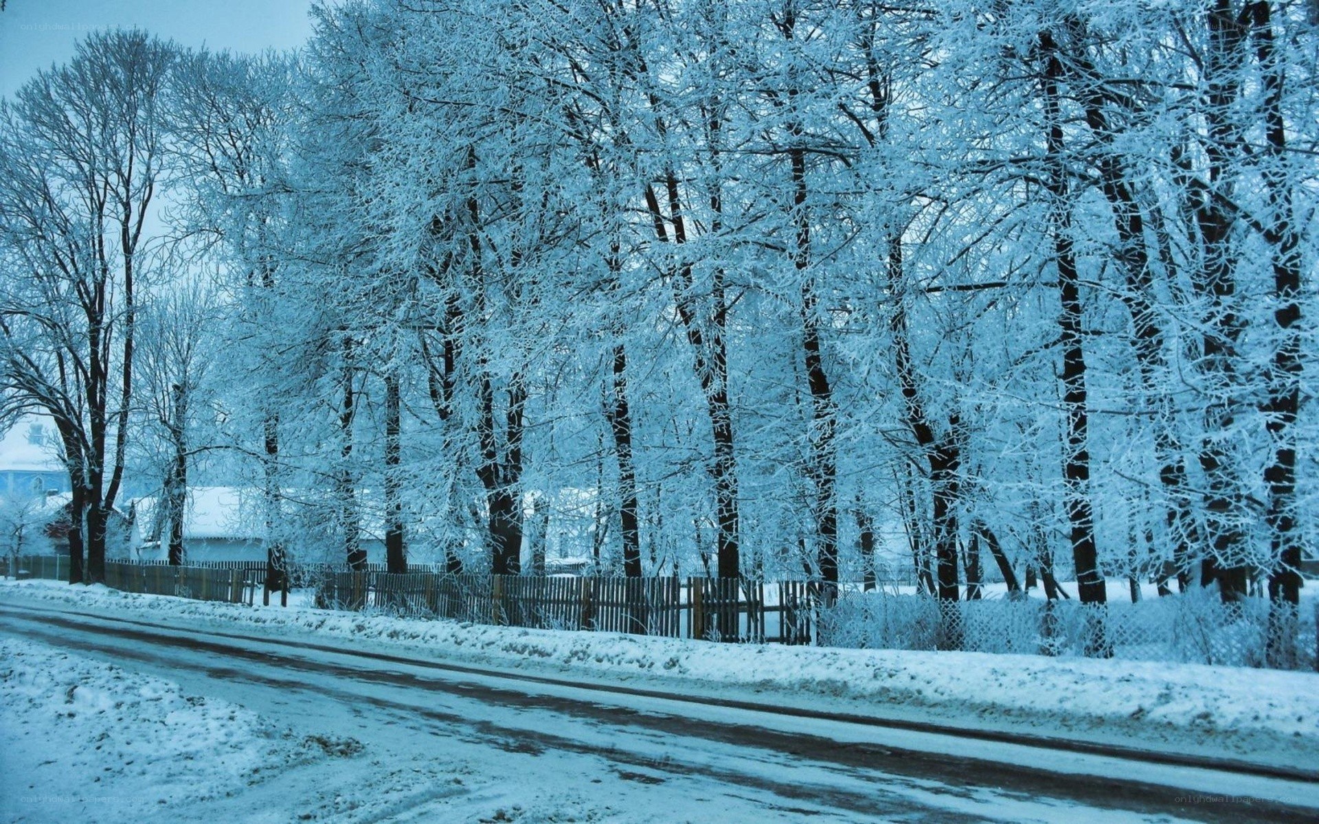 Snow-covered road in winter