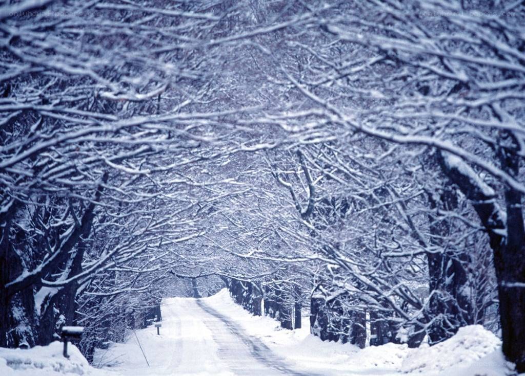 snow-covered road in winter