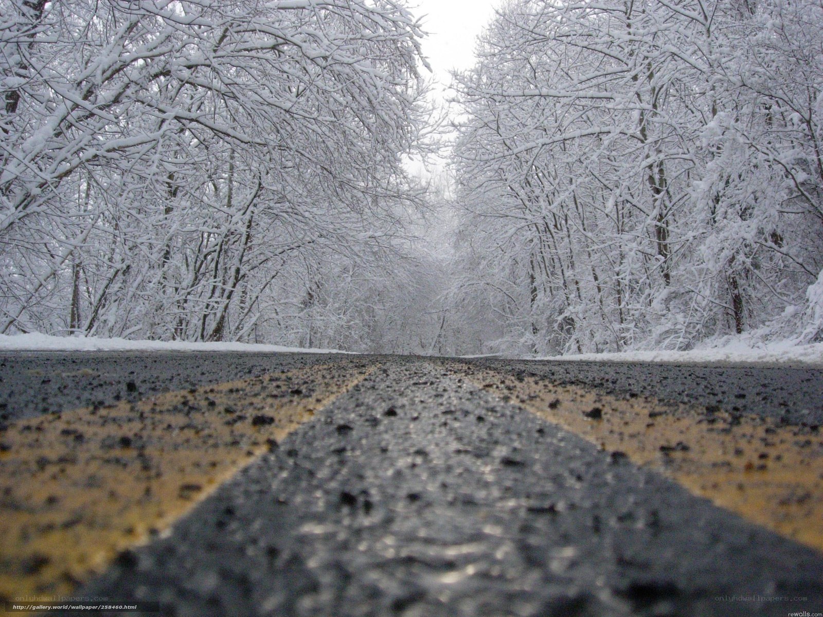 snow-covered road in winter