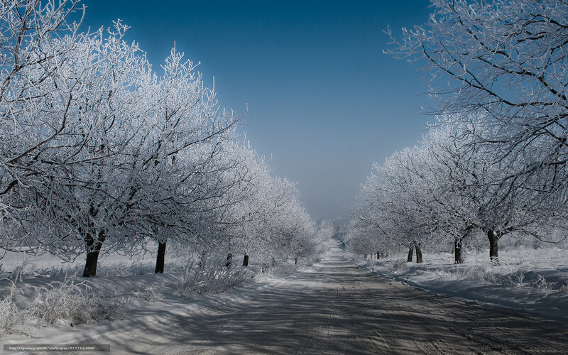 Snow-covered road in winter