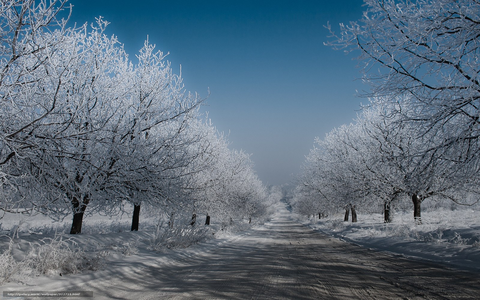 Snow-covered road in winter