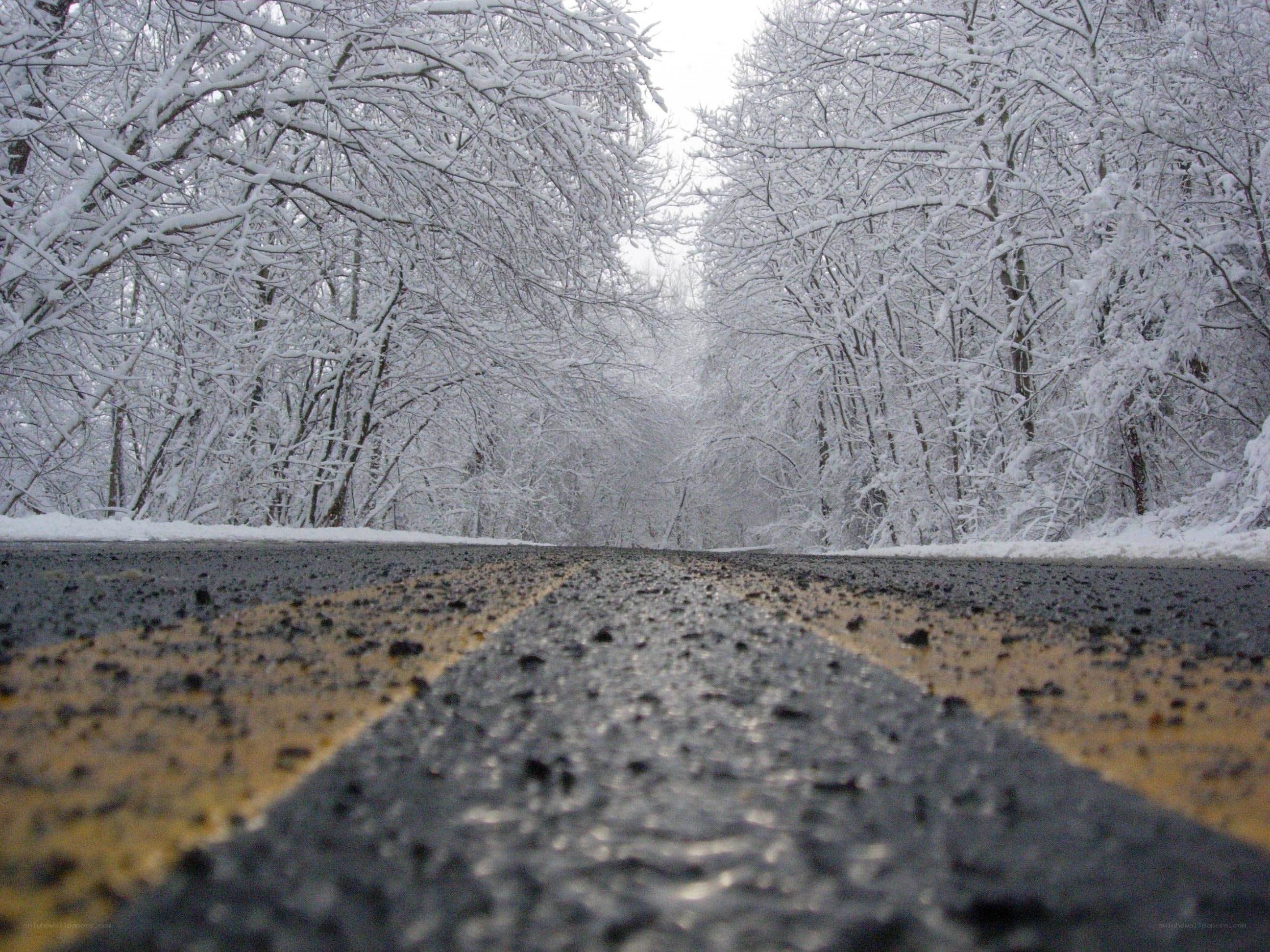 snow-covered road in winter