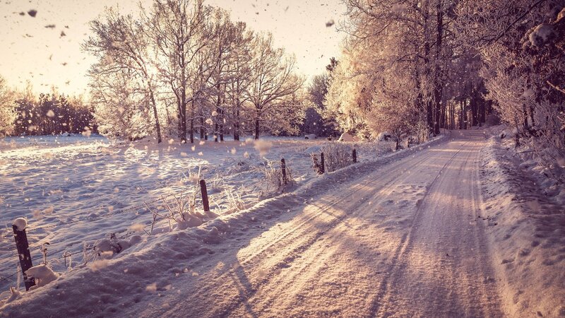 Snow-covered Road in Winter — White, Serene, Photograph
