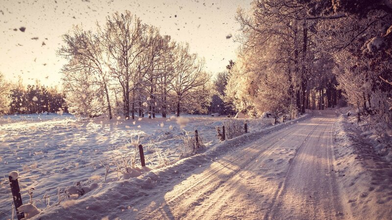 Snow-covered Road in Winter — White, Serene, Photograph, Trees, Fence