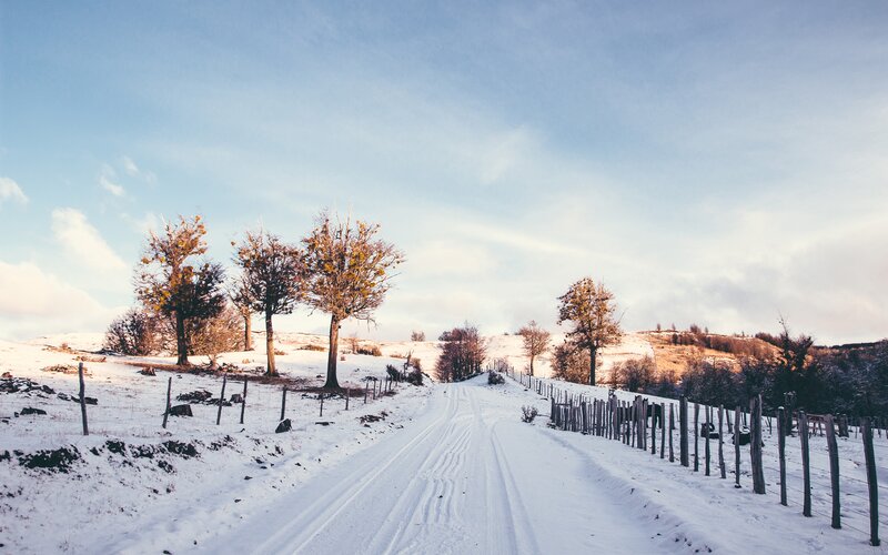 Snow-covered Road in Winter — White, Serene, Photograph, Trees