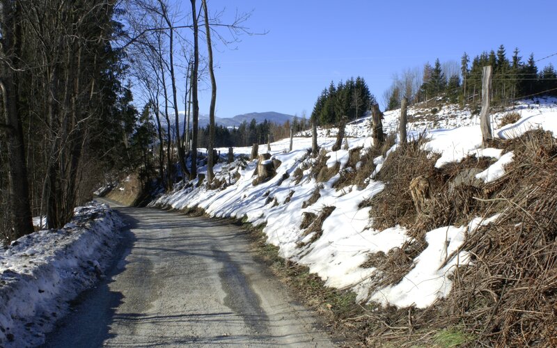 Snow-covered Road in Winter — White, Serene
