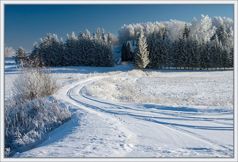 Snow-covered Road in Winter — White