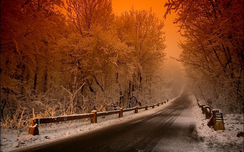 Snow-covered Road — Orange
